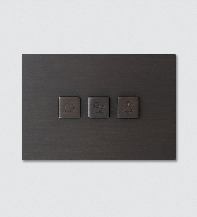 Wall electric switch plates with buttons