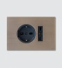 Designer switch plates with sockets